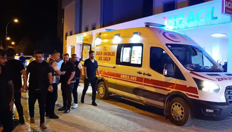 Kardeşini Koruma Çabası Kanlı Bir Kavga ile Sonuçlandı