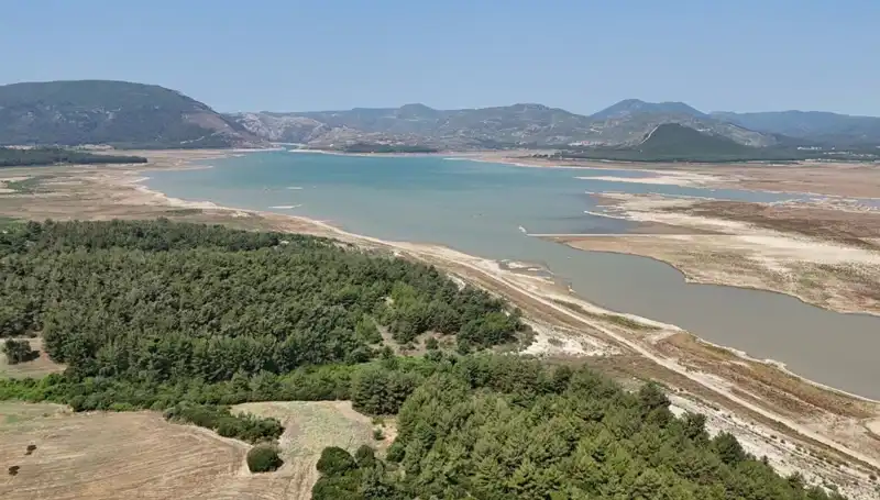 İzmir'de Tehlike Çanları: Geçen Yıla Göre Yüzde 50 Düşüş Yaşandı
