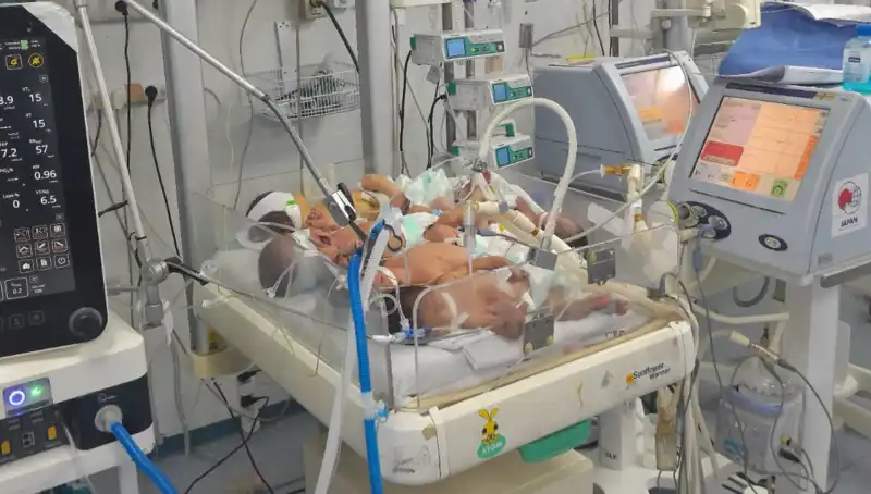 Gazzeli Doktorlar Çaresiz Kalıyor: Kuvözler Yetersiz, Bebekler Tehlikede!