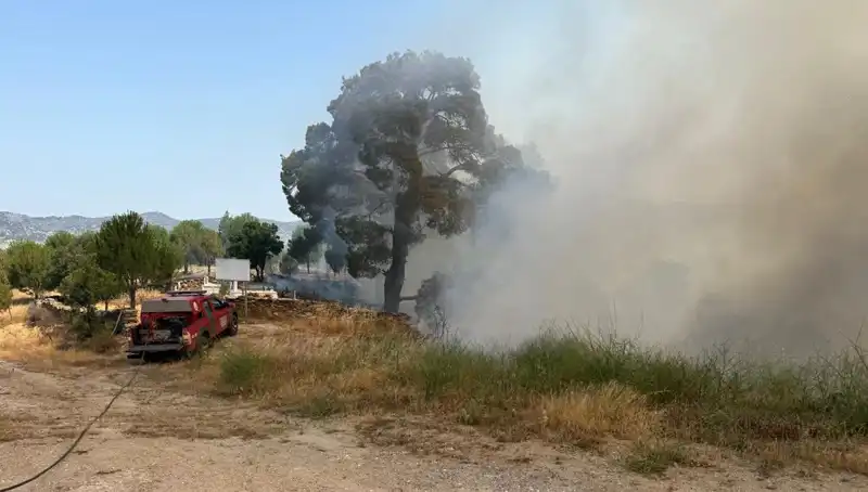 Muğla'daki Orman Yangını: Doğanın Kalbi Bugün Nasıl Yanıyor?