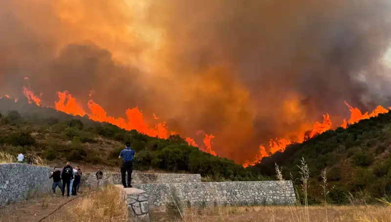 Orman Yangınları Bursa, Kocaeli ve İzmir’i Tehdit Altına Aldı