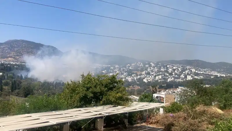 Muğla'daki Orman Yangınları Kontrol Altına Alındı, Ekipler Seferber Oldu!