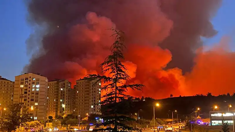 Bursa'da Yangınlar Kontrolden Çıkıyor: Şehir Tehlikede mi?