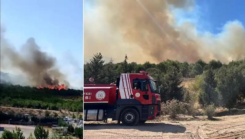 Gebze'deki Orman Yangını: Ekipler Seferber Oldu