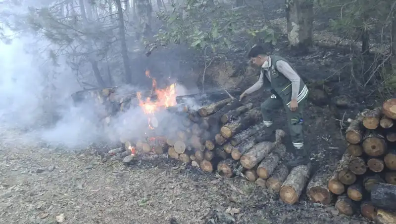 Bursa'da Patlayan Yangın: Şehirde Yaşanan Felaketin Seyri