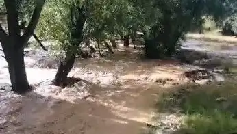 Mersin’de Şiddetli Yağışlar Sel Felaketine Dönüştü