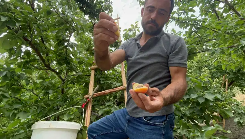 Tadı Damağınızda Kalacak: Lezzetiyle Dikkat Çeken Ürün 50-70 TL Arası Satılıyor!