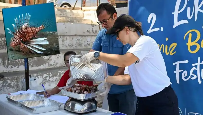 Antalya'da İstilacı Aslan Balığı Avlama Yarışması: Doğanın Dengesini Koruma Mücadelesi